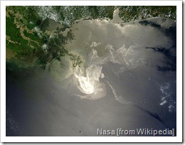 Deepwater_Horizon_oil_spill_-_May_24,_2010
