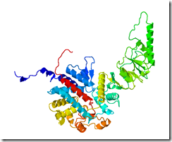 My Protein I studied